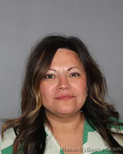 Mugshot of Lynda Rae Johns booked in Erath County, Texas on April 6, 2026