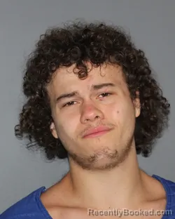 Booking photo from Erath County, Texas