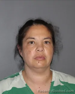Mugshot of THERESA KAY HAMILTON booked in Erath County, Texas on April 28, 2026