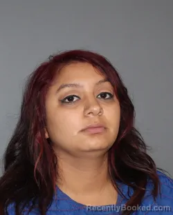 Mugshot of VALERIE SCHICK booked in Erath County, Texas on May 2, 2026