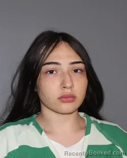 Mugshot of RAVEIGH DONNA JANE RIOJAS booked in Erath County, Texas on June 25, 2026