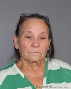 Mugshot of SANDRA ANN THOMPSON booked in Erath County, Texas on June 26, 2026
