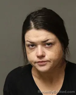 Mugshot of ARIEL MARIA MEEKINS