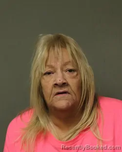 Mugshot of KAREN ANN DICKERSON booked in Grayson County, Virginia on March 17, 2026