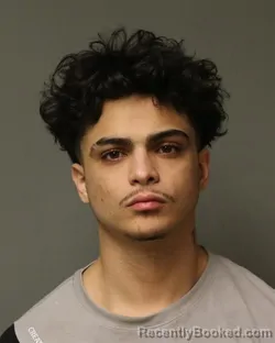 Booking photo from Grayson County, Virginia