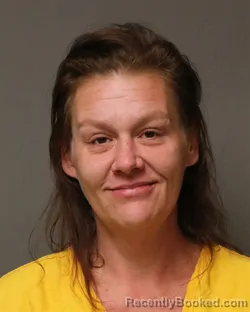 Mugshot of Amanda Dawn Banes booked in Grayson County, Virginia on August 6, 2026