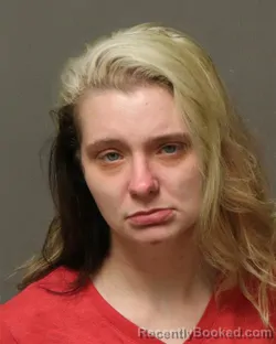 Mugshot of TIARA NICOLE LORENZINO booked in Grayson County, Virginia on April 5, 2026