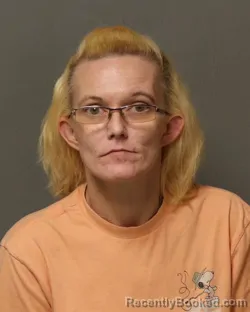 Mugshot of NORA LYNN TOLBERT