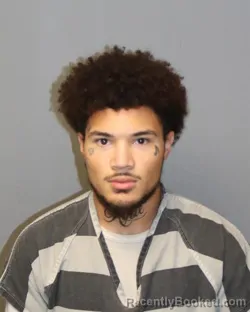 Booking photo from Grayson County, Virginia