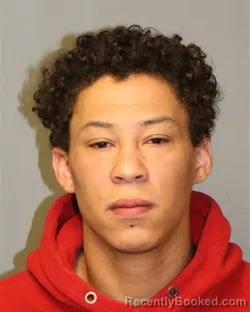 Mugshot of MICHAEL ANTHONY FERGUSON