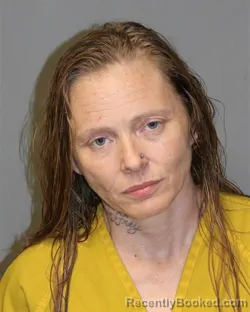 Mugshot of MARY ANN FRYE booked in Grayson County, Virginia on July 1, 2026