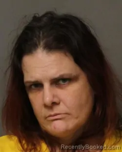 Mugshot of JENA DELLENA CAUDLE booked in Grayson County, Virginia on April 30, 2026