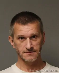 Mugshot of RONALD K MEADOWS