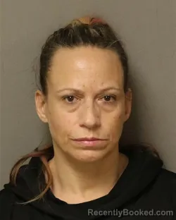 Mugshot of RACHAEL JOHNSTON DENNY booked in Grayson County, Virginia on April 3, 2026