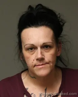 Mugshot of STEPHANIE LYNN CROWDER booked in Grayson County, Virginia on April 4, 2026