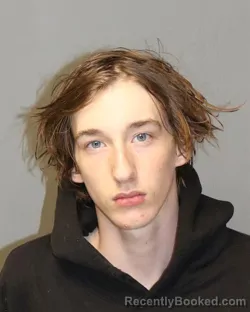 Mugshot of TANNER EVAN BROWN booked in Grayson County, Virginia on April 4, 2026