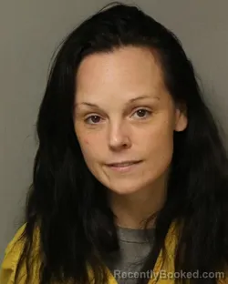 Mugshot of AMANDA LINN JOHNSON booked in Grayson County, Virginia on March 31, 2026