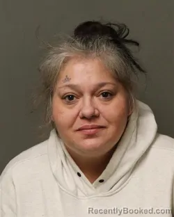 Mugshot of TERRI LEE THOMPSON