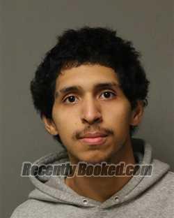 Booking photo from Grayson County, Virginia