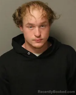 Mugshot of SHAWN OLPHIA H PRICE booked in Grayson County, Virginia on March 13, 2026