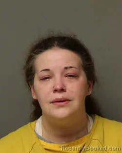 Mugshot of Holly Michelle Mcallister booked in Grayson County, Virginia on July 17, 2026
