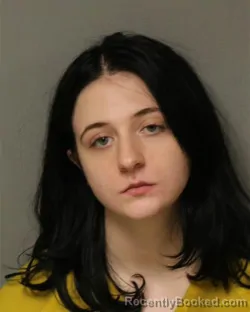 Mugshot of CARLEE RAI ANDERSON booked in Grayson County, Virginia on March 30, 2026