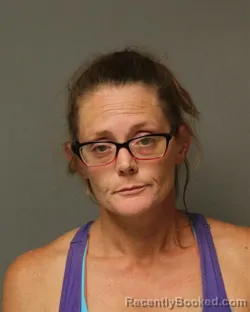 Mugshot of RENEE MICHELLE BOOTH