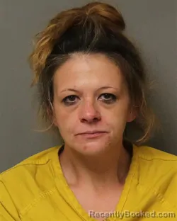 Mugshot of ASHLEY DIANE PAYNE