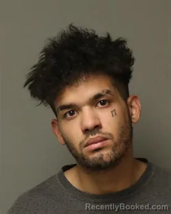 Booking photo from Grayson County, Virginia