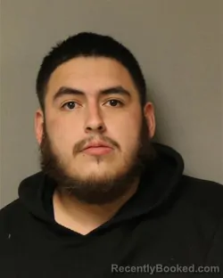 Mugshot of ALVARO ALEJANDRO LIMON