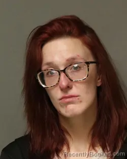 Mugshot of MIRANDA CHRISTINE CHANDLER booked in Grayson County, Virginia on April 5, 2026