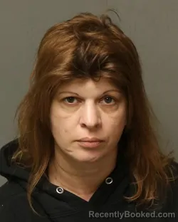 Mugshot of MINDY KAYE STACKHOUSE booked in Grayson County, Virginia on March 30, 2026