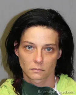 Mugshot of SAMANTHA NICOLE COBLE booked in Grayson County, Virginia on July 7, 2026