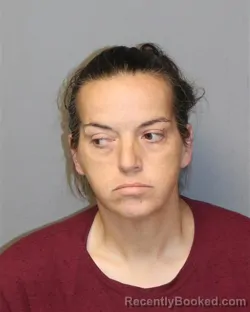 Mugshot of JODIE MELISSA HALLETT booked in Grayson County, Virginia on April 2, 2026