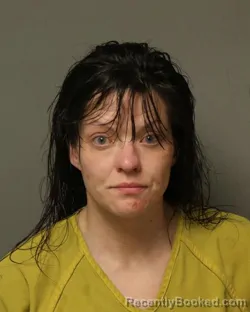 Mugshot of JENNIFER MAY MATHESON booked in Grayson County, Virginia on April 30, 2026