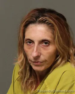 Mugshot of REBECCA LUCILLE PAGE