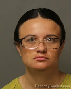 Mugshot of EVELYN ANN WALTERS booked in Grayson County, Virginia on July 30, 2026