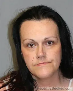 Mugshot of STEPHANIE LYNN CROWDER booked in Grayson County, Virginia on April 4, 2026