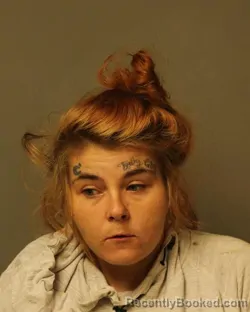 Mugshot of BRANDI MARIE HEDGE booked in Grayson County, Virginia on May 7, 2026
