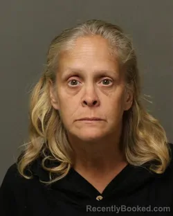 Mugshot of CHERYL ANN LAWSON booked in Grayson County, Virginia on March 13, 2026