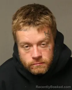 Mugshot of RUSSELL BRYANT WATSON booked in Grayson County, Virginia on March 29, 2026