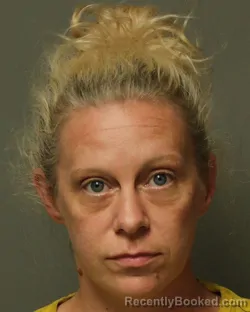 Booking photo from Grayson County, Virginia