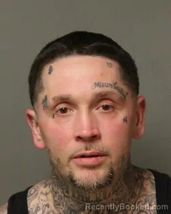 Mugshot of JOHN SAMUEL WALL