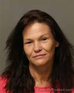 Mugshot of LINDA ANN HESS booked in Grayson County, Virginia on March 26, 2026