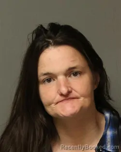 Mugshot of MICHELLE ANN GOAD booked in Grayson County, Virginia on May 28, 2026