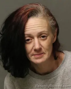 Booking photo from Grayson County, Virginia