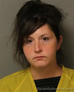 Mugshot of MORGAN ELAINE BURCHETT booked in Grayson County, Virginia on April 25, 2026