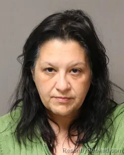 Mugshot of LISA MARIE SORIA booked in Grayson County, Virginia on April 3, 2026