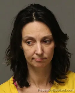 Booking photo from Grayson County, Virginia