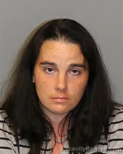 Mugshot of CRYSTAL NICOLE WHITAKER booked in Grayson County, Virginia on May 14, 2026